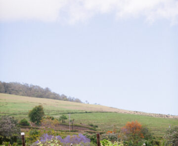 20190424_HaikuHouse_0616