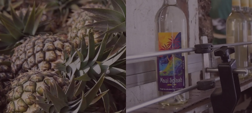 Pineapple Wine Video