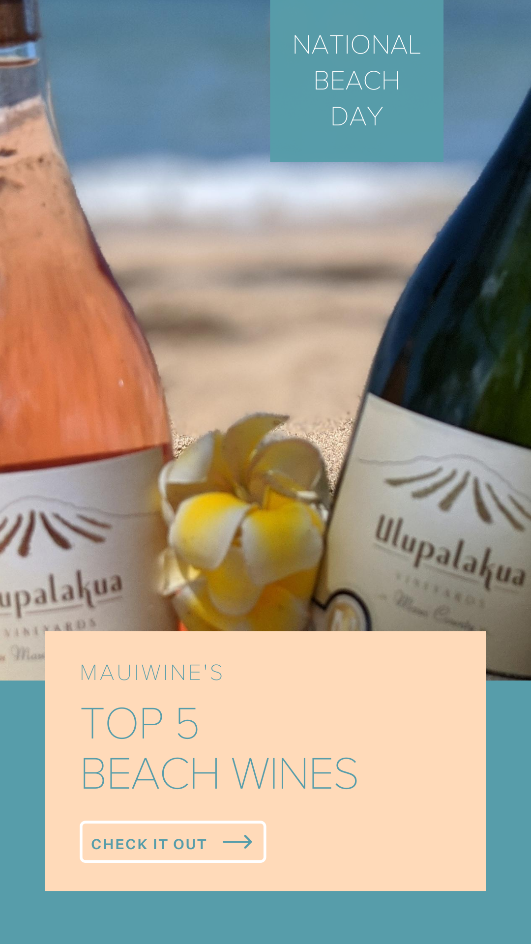 Top 5 Beach Wines for National Beach Day MauiWine