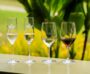 tasting_flight_mw_historical_walking_tour