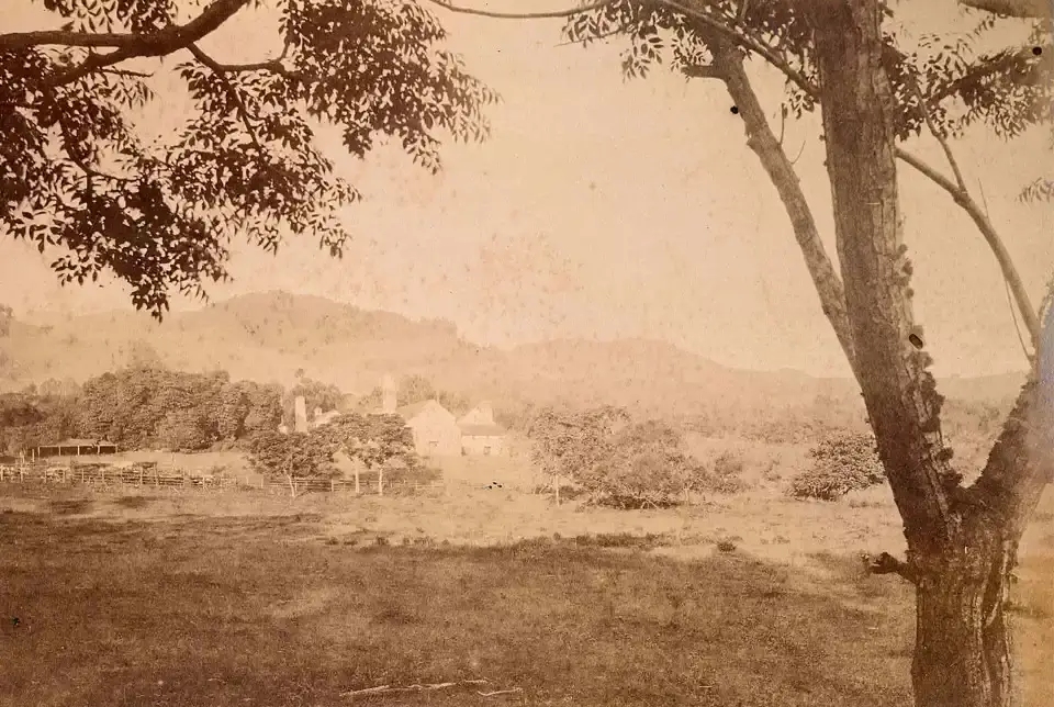 Historic photo of the Ulupalakua lands Torbert leased in 1841
