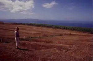 Historic photo of a man standing in a newly cleared vineyard field