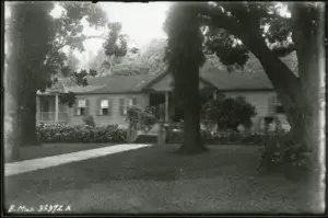 Historic black and white photo of the Rose Ranch house under large trees