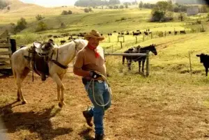 Historic photo of a paniolo with his horse at the ranch corral