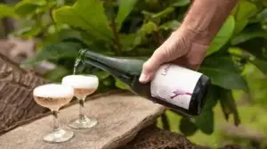 Pouring Lokelani sparkling rosé into coupe glasses outdoors