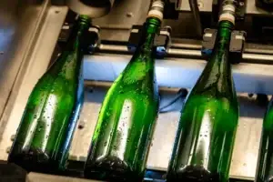 Close-up of green sparkling wine bottles moving through production