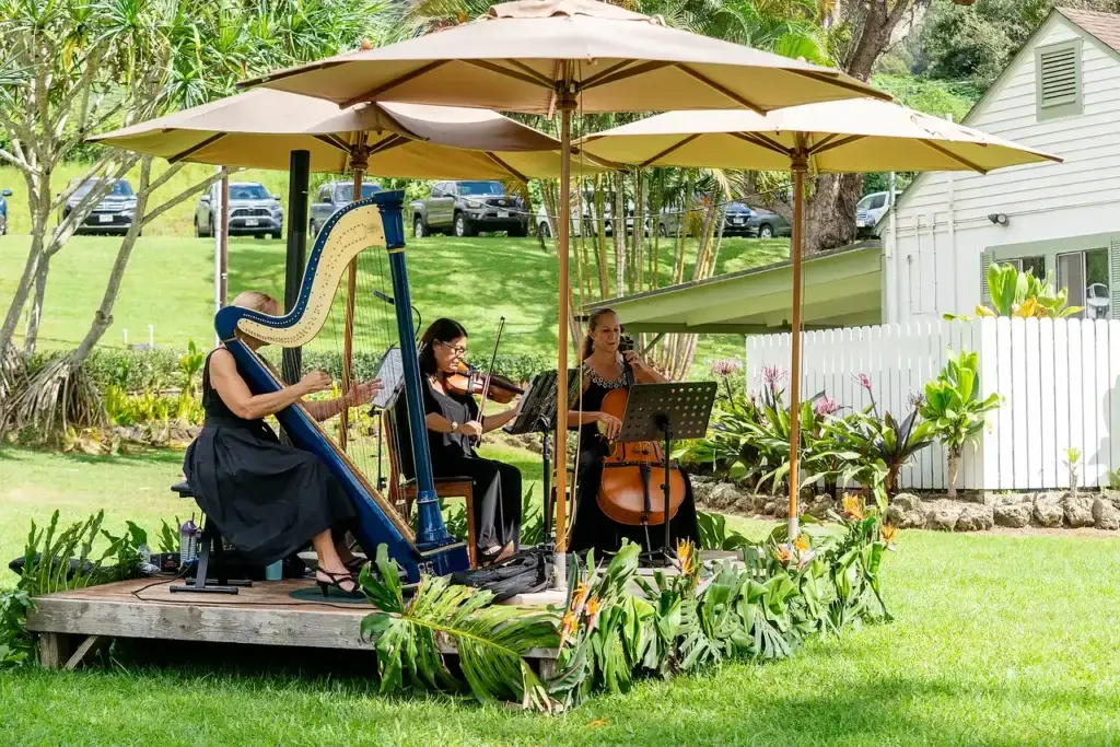 Harpist and violinist performing under umbrellas at a wine club event