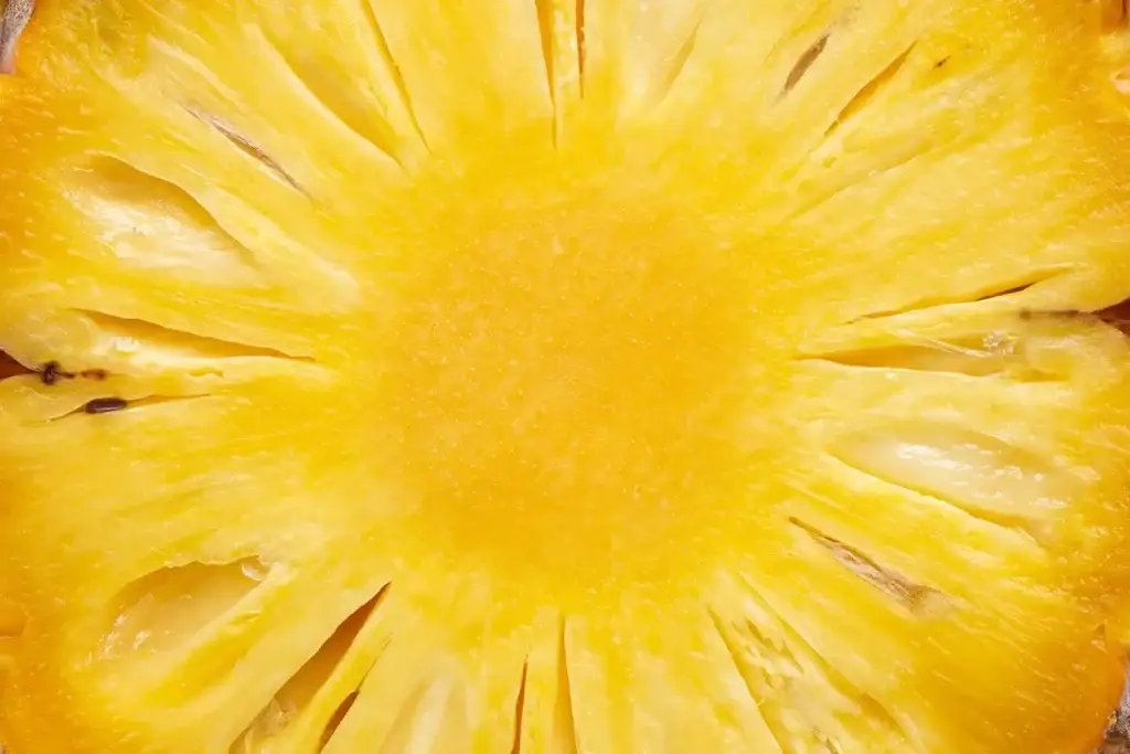Pineapple Slice Close-Up