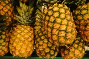 Ripe pineapples stacked at the winery