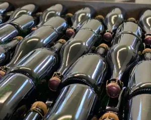 Sparkling wine bottles stacked during production