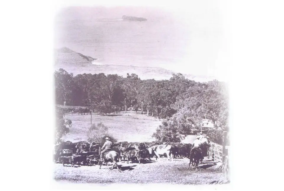 Historic photo of the Ulupalakua sugar mill grounds