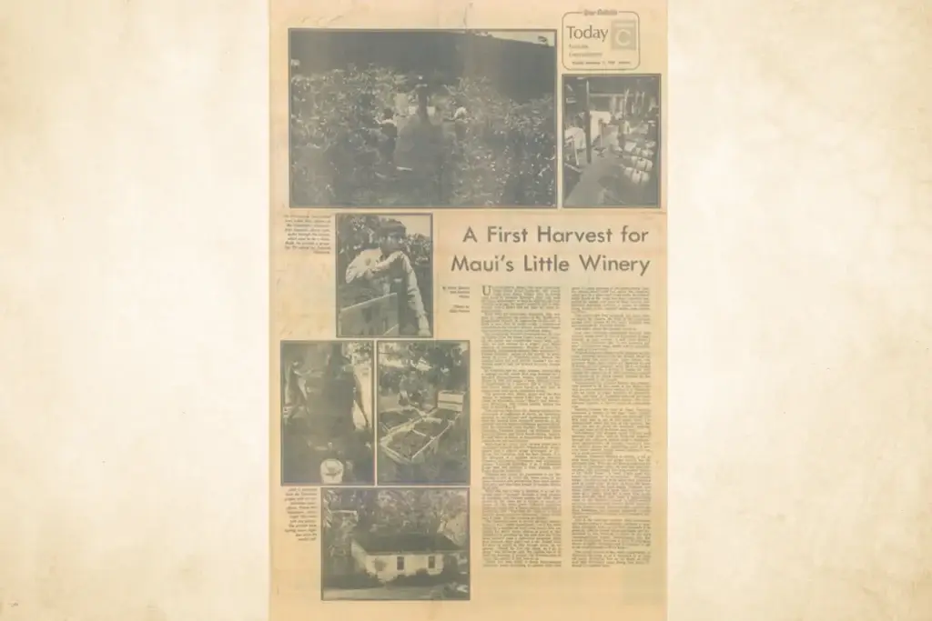 Newspaper clipping about the first harvest at Maui's Tedeschi Winery