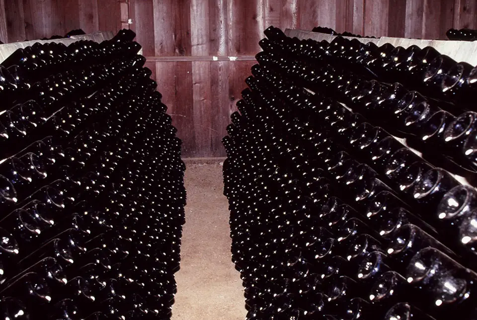 Rows of sparkling wine bottles aging in the cellar