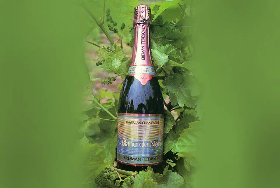 Bottle of Maui Brut Blanc de Noirs sparkling wine framed by green leaves